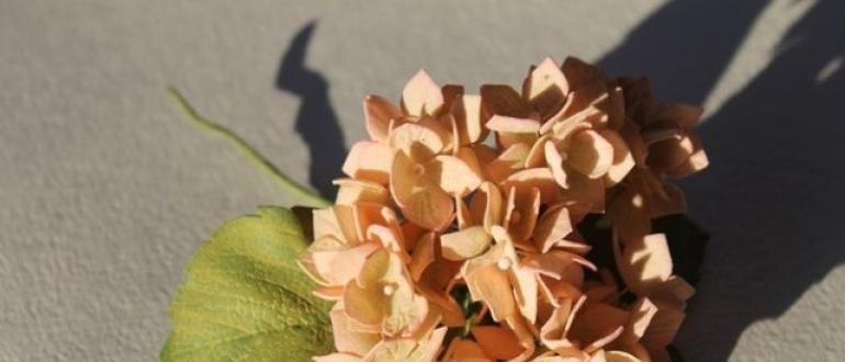 Урок по изготовлению цветов из Фоамирана (фото и видео инструкция) Цветок лилии или ириса